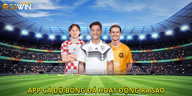 App cá độ bóng đá hoạt động ra sao?